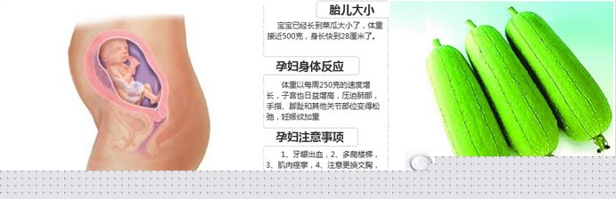 孕22周胎儿发育情况和注意事项
