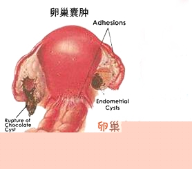 永州现代妇儿医院