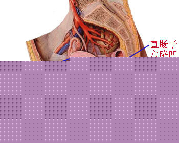 永州妇科专家详解如何治疗盆腔脓肿